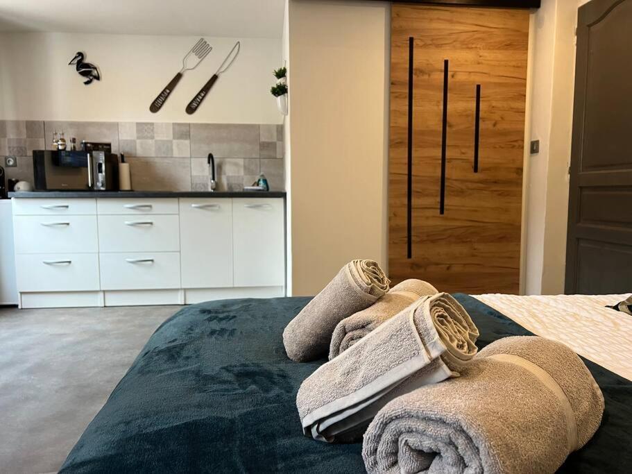 Studio Le Petit Pelican Châtenois Dış mekan fotoğraf